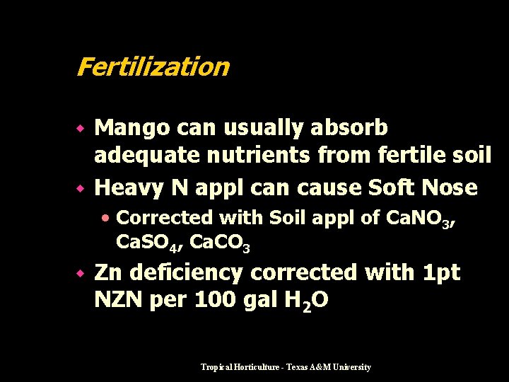 Fertilization Mango can usually absorb adequate nutrients from fertile soil w Heavy N appl
