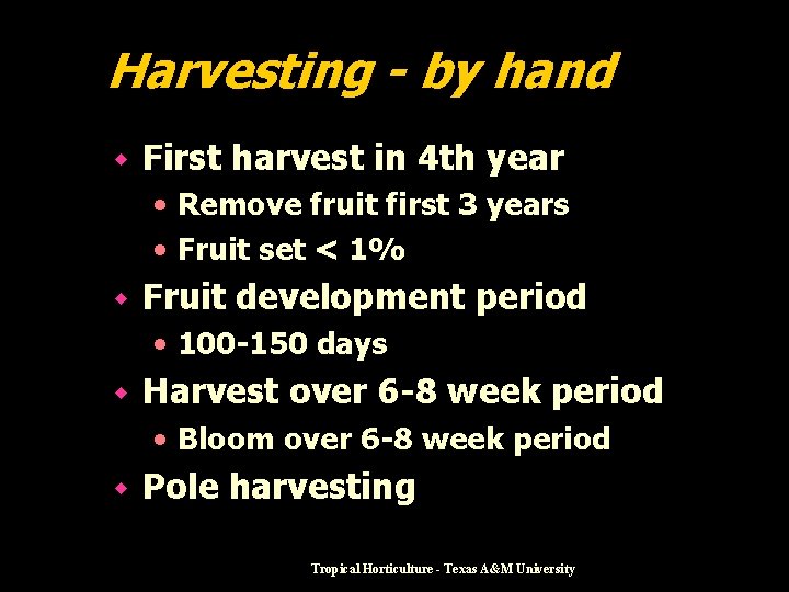 Harvesting - by hand w First harvest in 4 th year • Remove fruit
