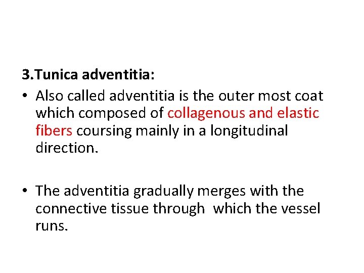 3. Tunica adventitia: • Also called adventitia is the outer most coat which composed