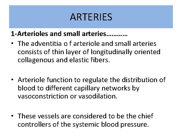 ARTERIES 1 -Arterioles and small arteries………… • The adventitia o f arteriole and small
