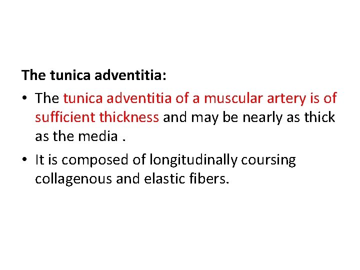 The tunica adventitia: • The tunica adventitia of a muscular artery is of sufficient