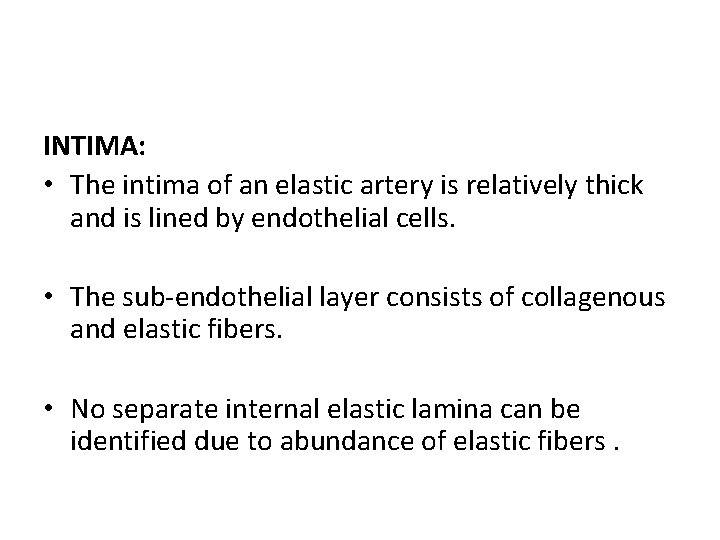 INTIMA: • The intima of an elastic artery is relatively thick and is lined