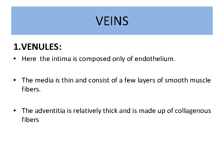 VEINS 1. VENULES: • Here the intima is composed only of endothelium. • The