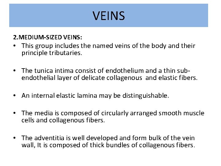 VEINS 2. MEDIUM-SIZED VEINS: • This group includes the named veins of the body