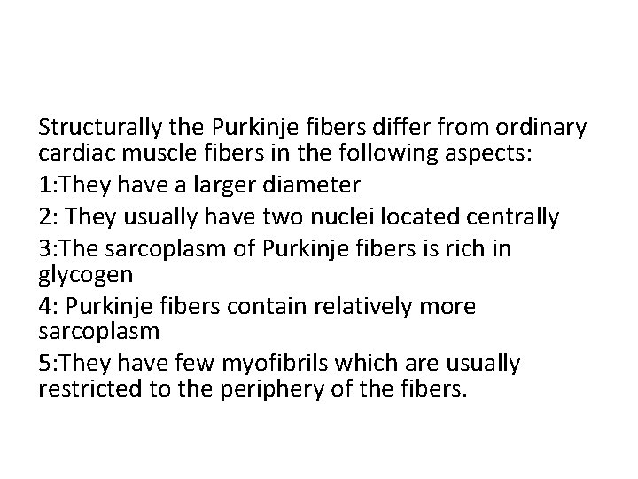 Structurally the Purkinje fibers differ from ordinary cardiac muscle fibers in the following aspects: