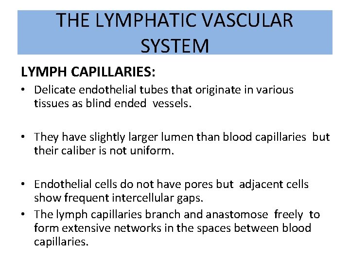 THE LYMPHATIC VASCULAR SYSTEM LYMPH CAPILLARIES: • Delicate endothelial tubes that originate in various