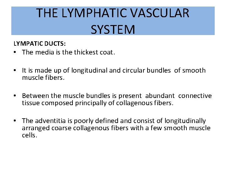 THE LYMPHATIC VASCULAR SYSTEM LYMPATIC DUCTS: • The media is the thickest coat. •