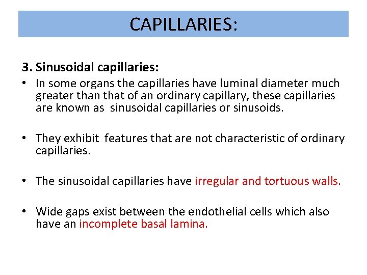 CAPILLARIES: 3. Sinusoidal capillaries: • In some organs the capillaries have luminal diameter much