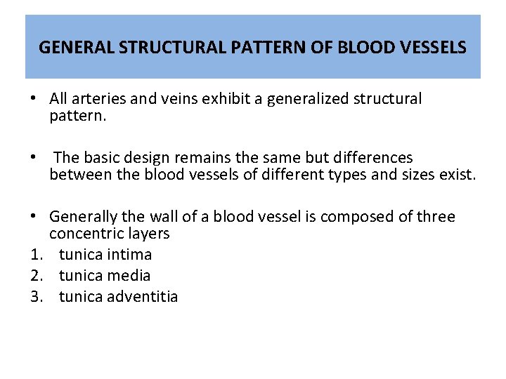 GENERAL STRUCTURAL PATTERN OF BLOOD VESSELS • All arteries and veins exhibit a generalized