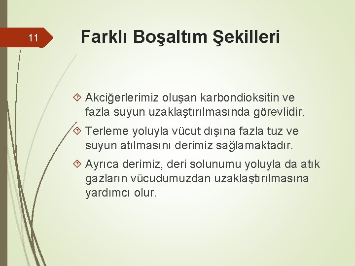 11 Farklı Boşaltım Şekilleri Akciğerlerimiz oluşan karbondioksitin ve fazla suyun uzaklaştırılmasında görevlidir. Terleme yoluyla