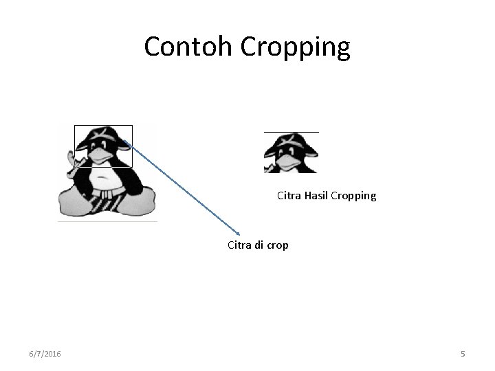 Contoh Cropping Citra Hasil Cropping Citra di crop 6/7/2016 5 