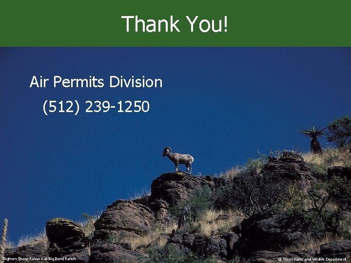 Thank You! Air Permits Division (512) 239 -1250 Bighorn Sheep Release at Big Bend