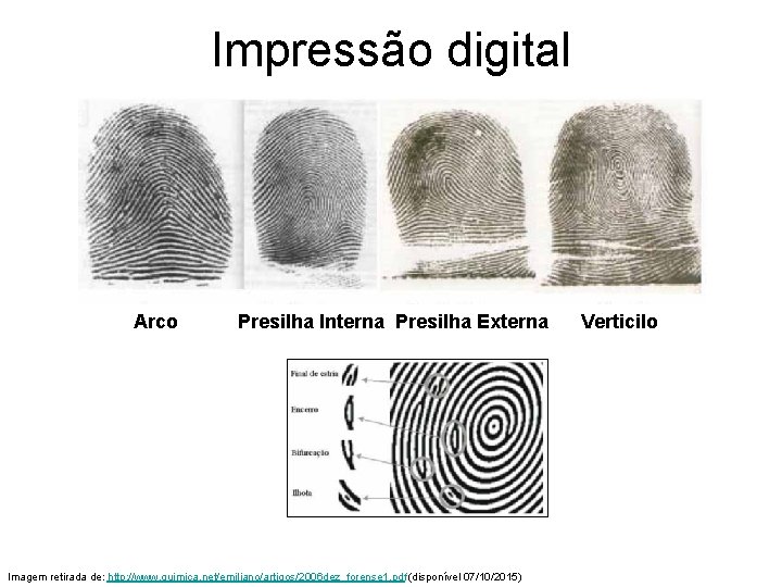 Impressão digital Arco Presilha Interna Presilha Externa Imagem retirada de: http: //www. quimica. net/emiliano/artigos/2006