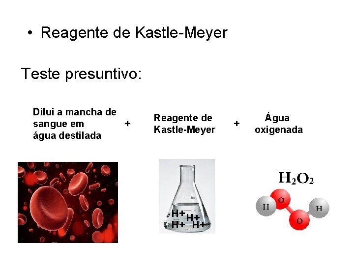  • Reagente de Kastle-Meyer Teste presuntivo: Dilui a mancha de sangue em +