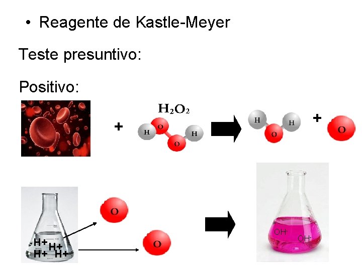  • Reagente de Kastle-Meyer Teste presuntivo: Positivo: + + OH- H+ H+ OH-