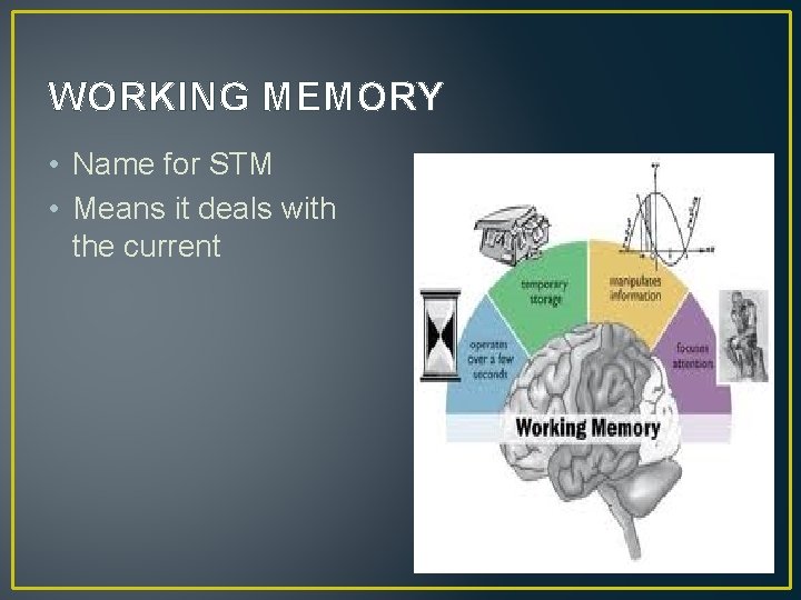 WORKING MEMORY • Name for STM • Means it deals with the current 