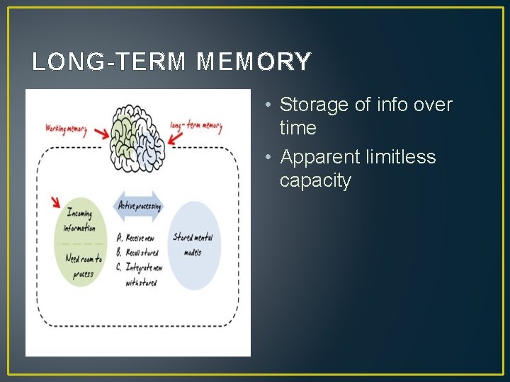LONG-TERM MEMORY • Storage of info over time • Apparent limitless capacity 
