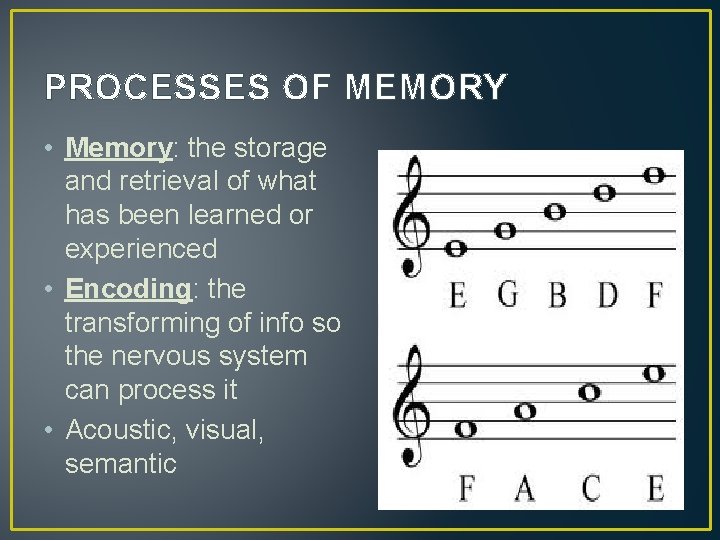 PROCESSES OF MEMORY • Memory: the storage and retrieval of what has been learned