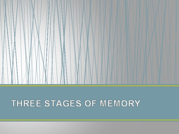 THREE STAGES OF MEMORY 