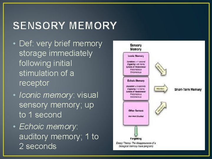 SENSORY MEMORY • Def: very brief memory storage immediately following initial stimulation of a