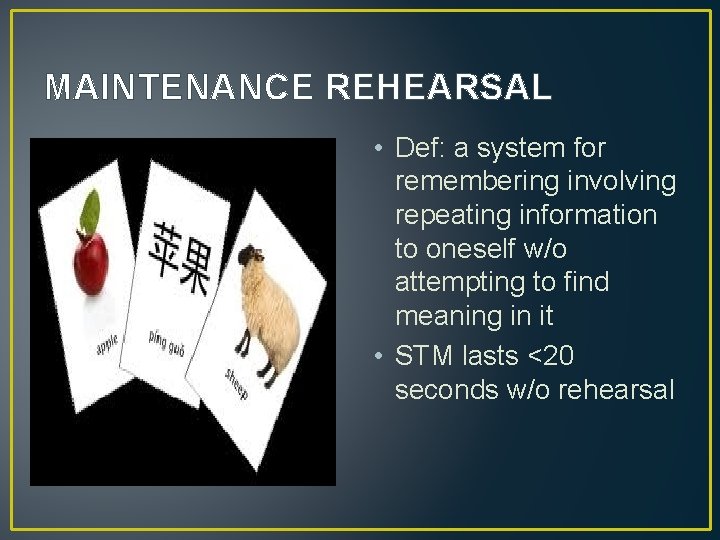 MAINTENANCE REHEARSAL • Def: a system for remembering involving repeating information to oneself w/o