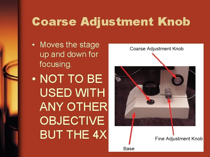 Coarse Adjustment Knob • Moves the stage up and down for focusing. • NOT