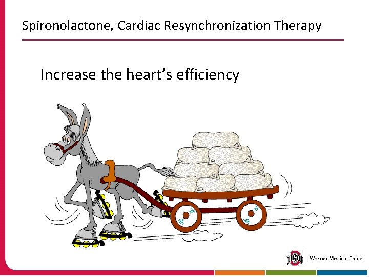 Spironolactone, Cardiac Resynchronization Therapy Increase the heart’s efficiency 