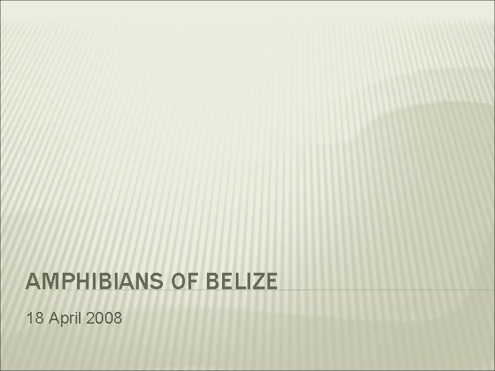 AMPHIBIANS OF BELIZE 18 April 2008 