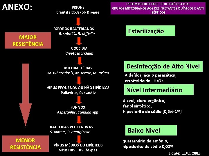 ANEXO: MAIOR RESISTÊNCIA PRIONS Creutzfeldt-Jakob Disease ORDEM DECRESCENTE DE RESISTÊNCIA DOS GRUPOS MICROBIANOS AOS