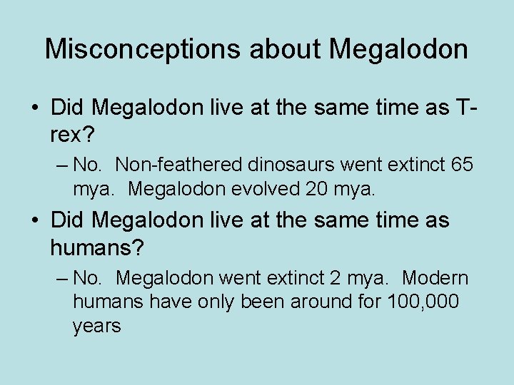 Misconceptions about Megalodon • Did Megalodon live at the same time as Trex? –