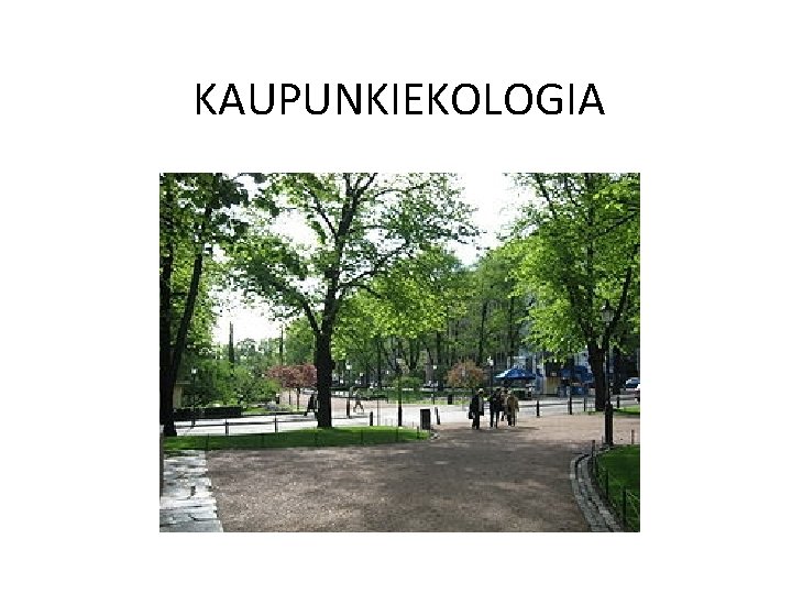 KAUPUNKIEKOLOGIA 