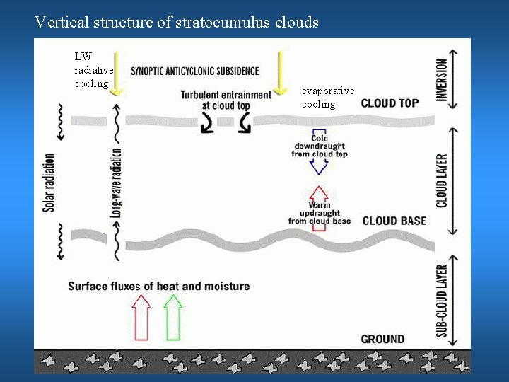 Vertical structure of stratocumulus clouds LW radiative cooling evaporative cooling 