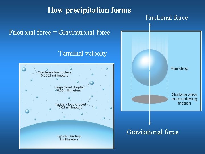 How precipitation forms Frictional force = Gravitational force Terminal velocity Gravitational force 