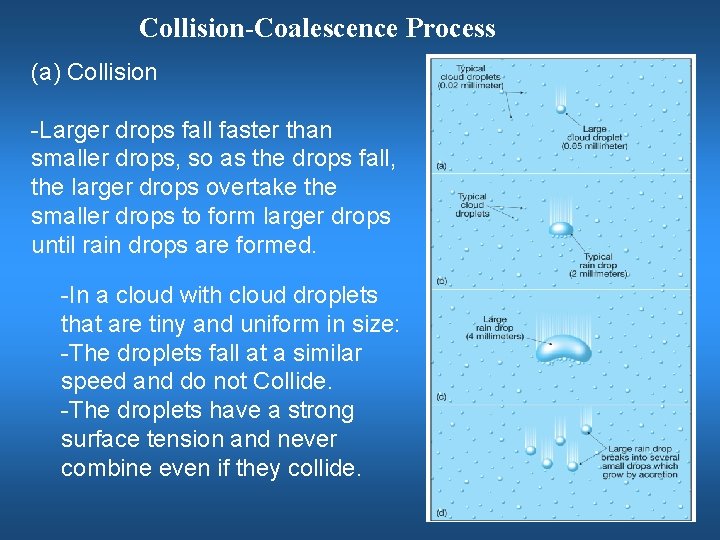 Collision-Coalescence Process (a) Collision -Larger drops fall faster than smaller drops, so as the