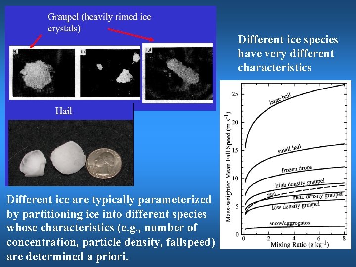 Different ice species have very different characteristics Different ice are typically parameterized by partitioning