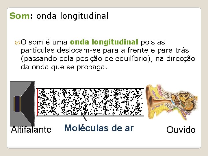 Som: onda longitudinal O som é uma onda longitudinal pois as partículas deslocam-se para