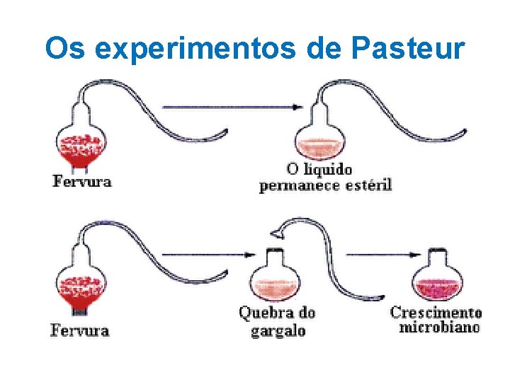 Os experimentos de Pasteur Os experimentos de Pasteur