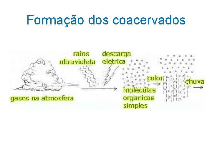 Formação dos coacervados Formação dos coacervados