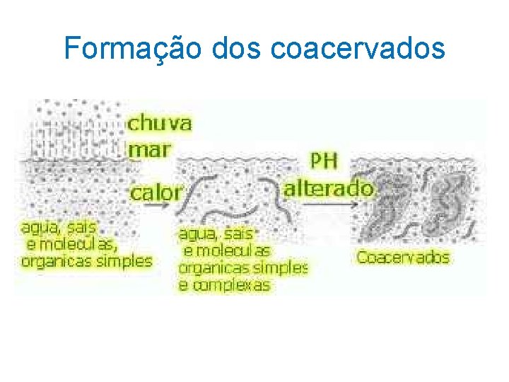 Formação dos coacervados Formação dos coacervados