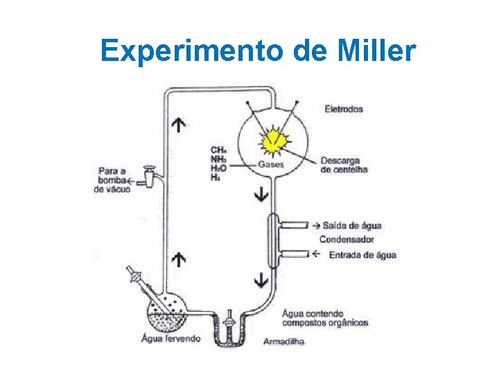 Experimento de Miller Experimento de Miller