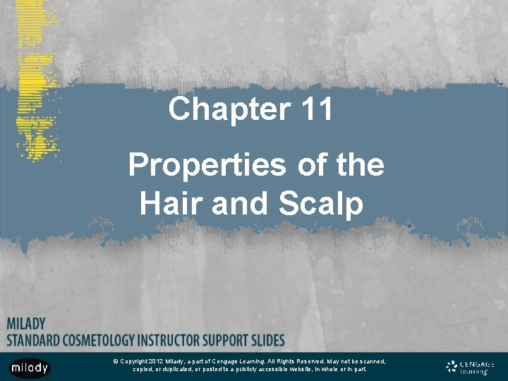 Chapter 11 Properties of the Hair and Scalp © Copyright 2012 Milady, a part