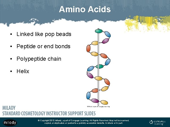 Amino Acids • Linked like pop beads • Peptide or end bonds • Polypeptide