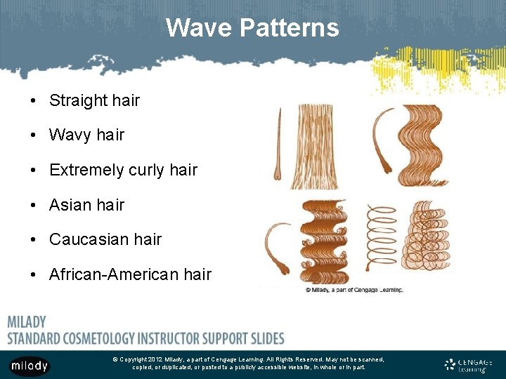 Wave Patterns • Straight hair • Wavy hair • Extremely curly hair • Asian