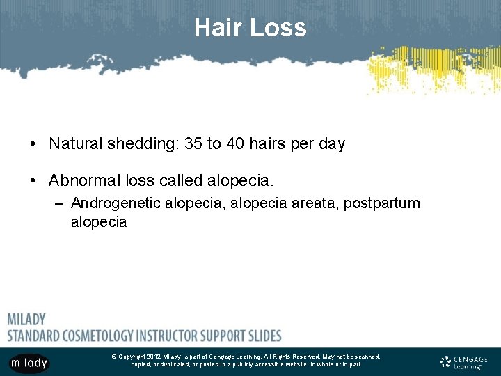 Hair Loss • Natural shedding: 35 to 40 hairs per day • Abnormal loss