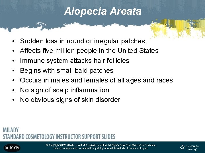 Alopecia Areata • • Sudden loss in round or irregular patches. Affects five million