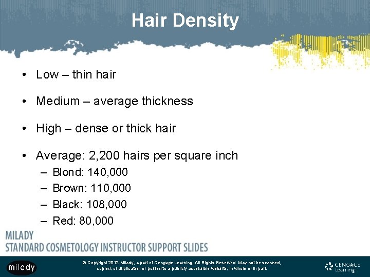 Hair Density • Low – thin hair • Medium – average thickness • High