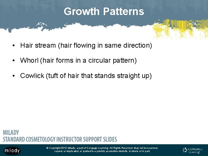 Growth Patterns • Hair stream (hair flowing in same direction) • Whorl (hair forms