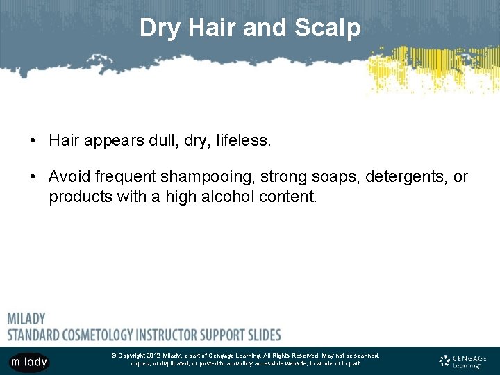 Dry Hair and Scalp • Hair appears dull, dry, lifeless. • Avoid frequent shampooing,