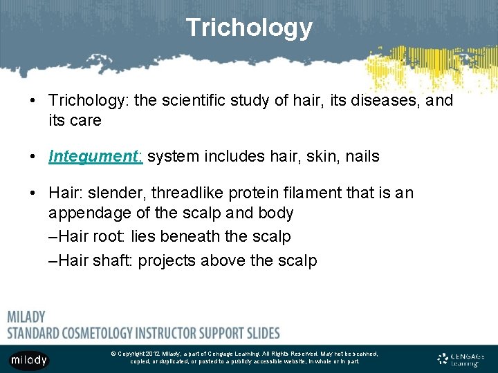 Trichology • Trichology: the scientific study of hair, its diseases, and its care •