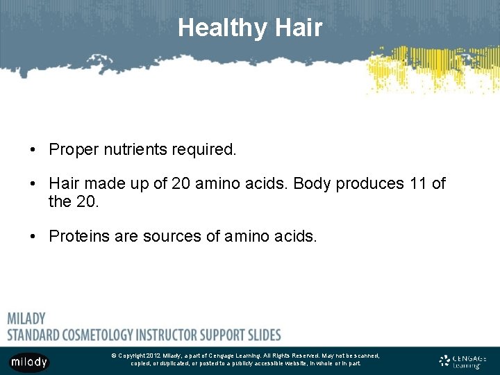 Healthy Hair • Proper nutrients required. • Hair made up of 20 amino acids.